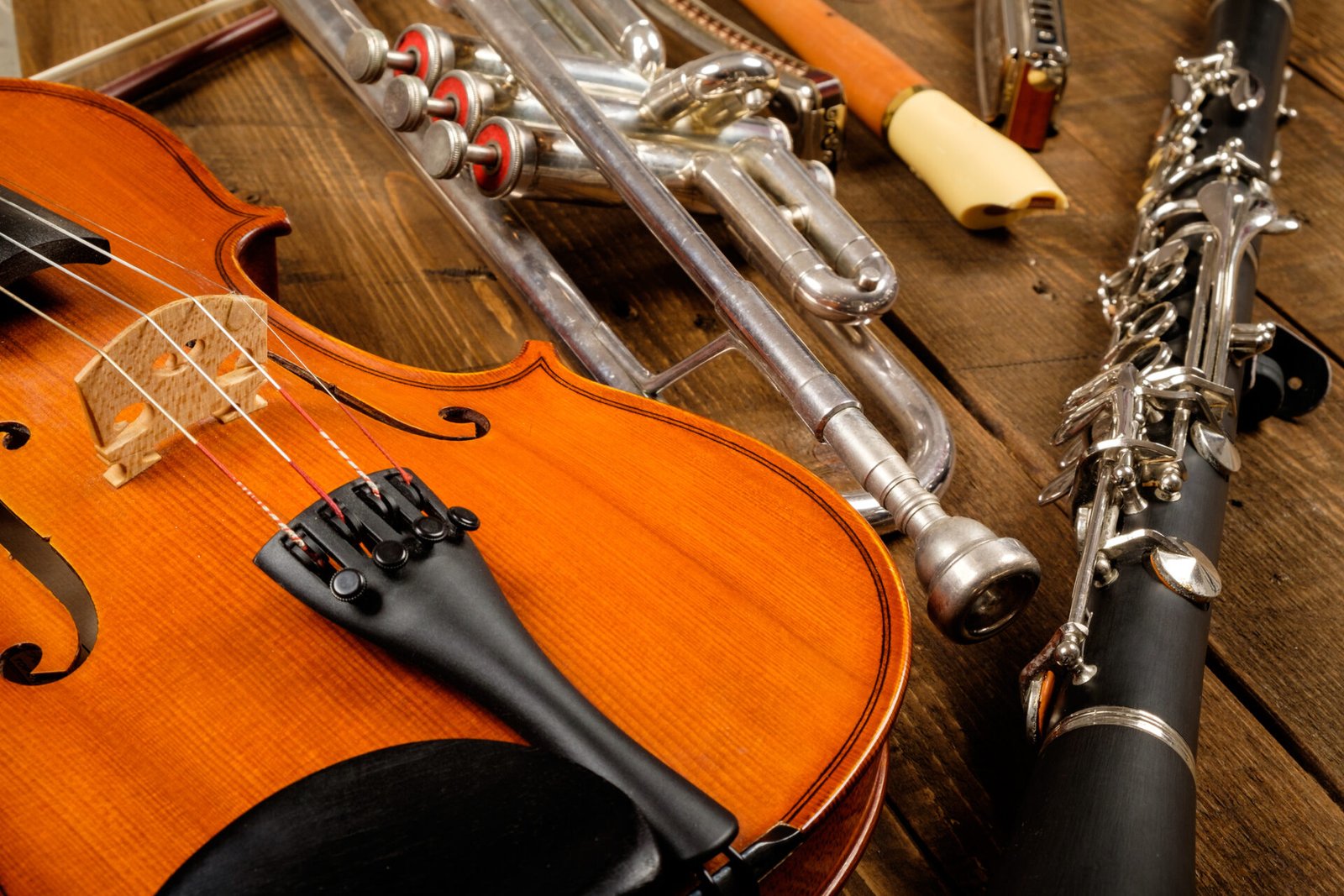 instruments in wood background