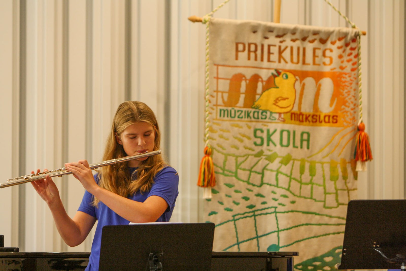 Pūšamie instrumenti MMS