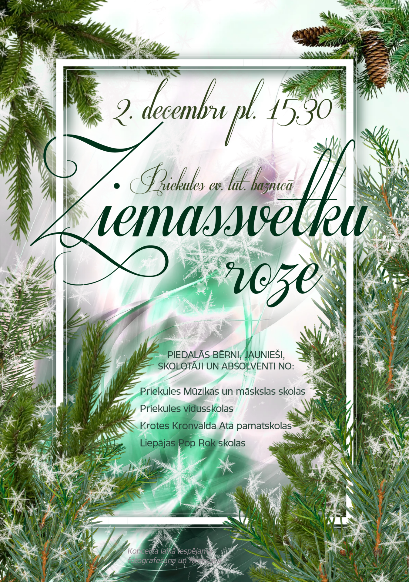 ziemassvētku roze 2022