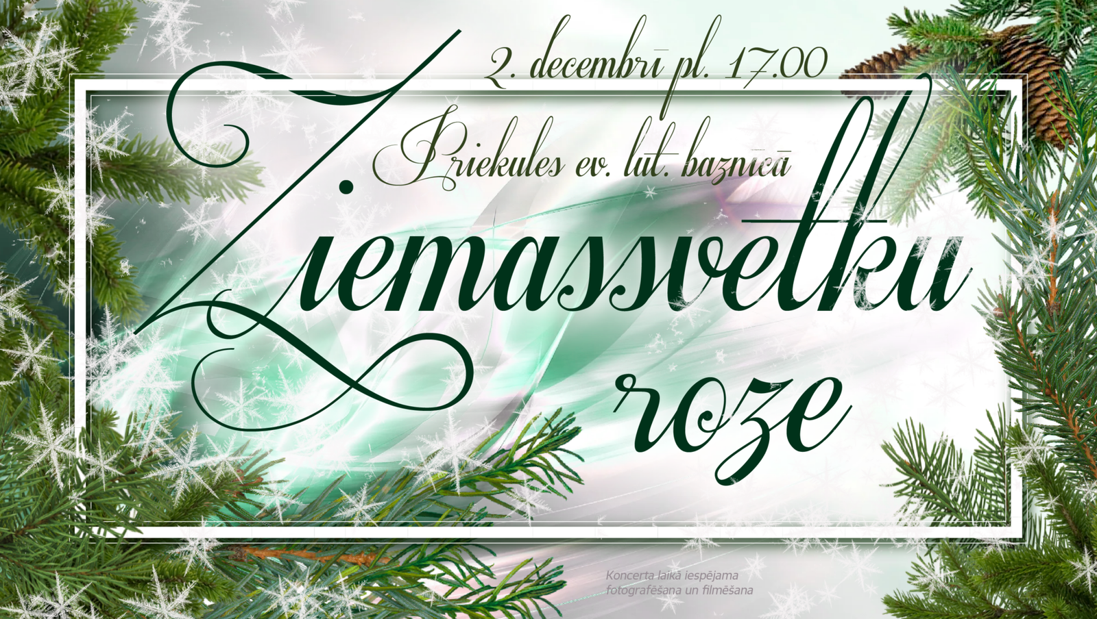 ziemassvētku roze 2022